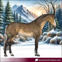 Horse Color:Silver Buckskin Dun Sabino 