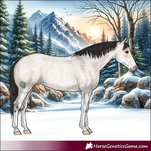 Horse Color:Bay Roan Dun Sabino