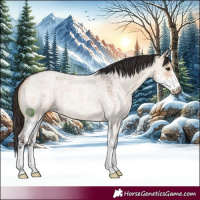 Horse Color:Bay Roan Dun Sabino