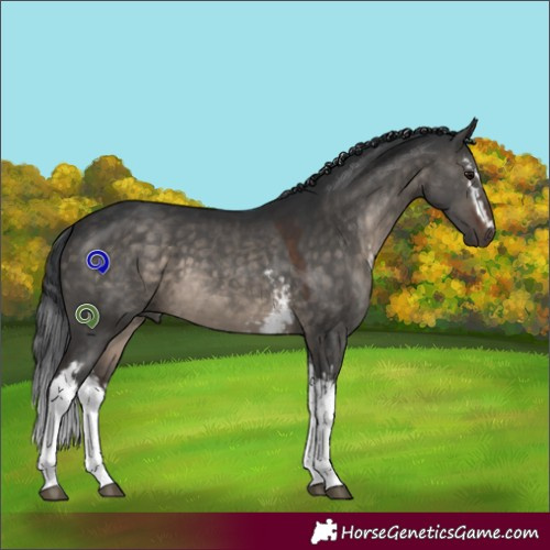 Horse Color:White Spotted Brown Dun 
