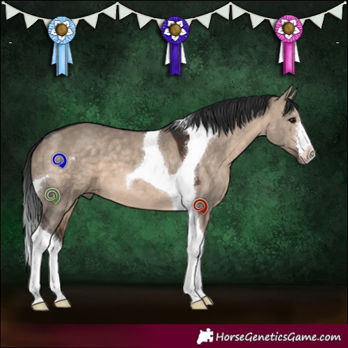 Horse Color:White Spotted Brown Dun Tobiano 