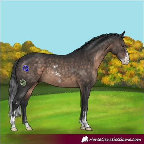 Horse Color:Brown Dun Sabino 