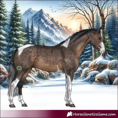 Horse Color:Brown Dun Sabino Tobiano