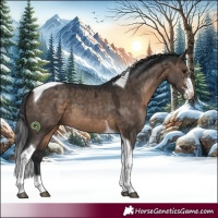 Horse Color:Brown Dun Sabino Tobiano 