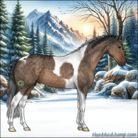 Horse Color:Brown Dun Sabino Tobiano 