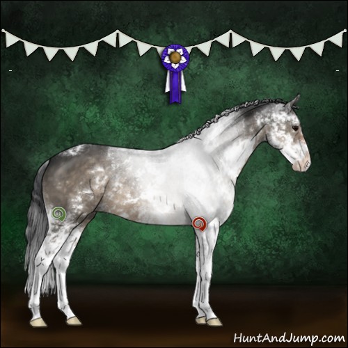 Horse Color:Brown Dun Sabino 