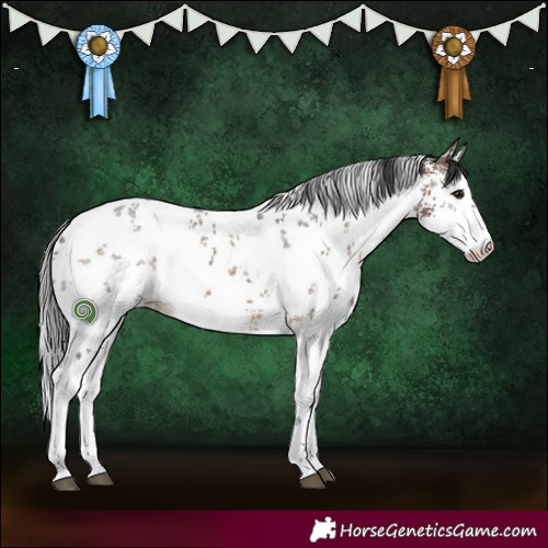 Horse Color:White Spotted Brown Dun Sabino 