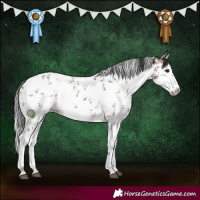 Horse Color:White Spotted Brown Dun Sabino 