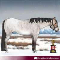 Horse Color:Brown Roan Dun Brindle