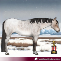 Horse Color:Brown Roan Dun Brindle