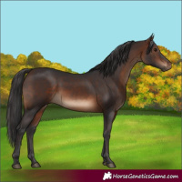 Horse Color:Brown 