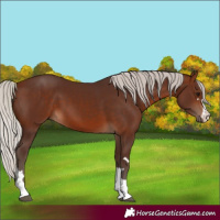 Horse Color:Silver Brown 