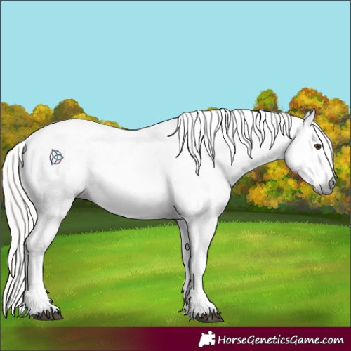 Horse Color:Gray White Spotted Silver Bay Near Leopard 