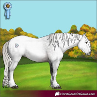 Horse Color:Gray White Spotted Silver Brown Snowcap 