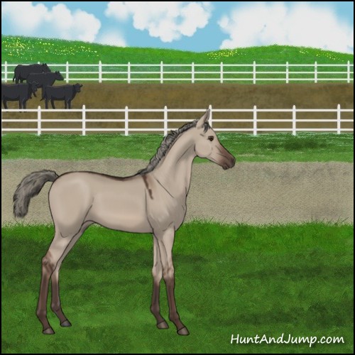 Horse Color:Liver Red Dun Mushroom 