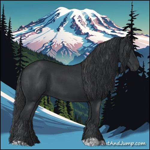 Horse Color:Black and Black
