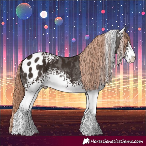 Horse Color:White Spotted Liver Chestnut Sabino Blanket