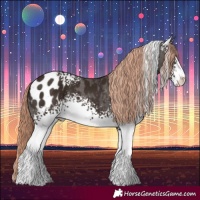 Horse Color:White Spotted Liver Chestnut Sabino Blanket 