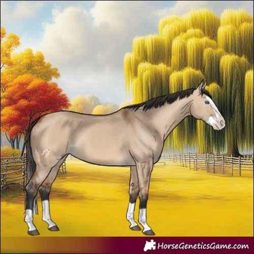 Horse Color:Bay Dun Splash 