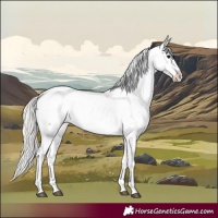 Horse Color:Silver Grullo Snowcap Rabicano 