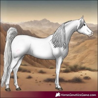 Horse Color:White Spotted Silver Grullo Varnish Rabicano 