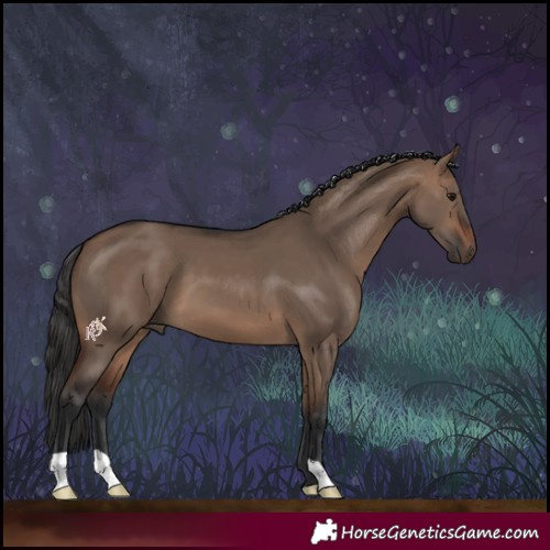 Horse Color:Brown Dun 