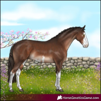 Horse Color:White Spotted Liver Chestnut 