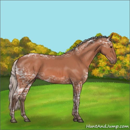 Horse Color:Silver Brown Ice Sabino 