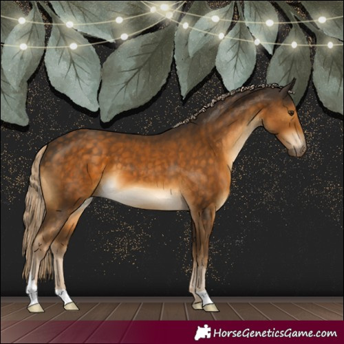 Horse Color:Chocolate Palomino 