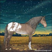 Horse Color:Liver Red Dun Mushroom Appaloosa 