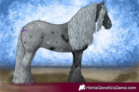 Horse Color:ERROR: UNKNOWN ANOMALY