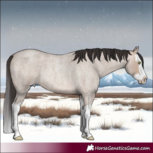 Horse Color:Sable Champagne Roan Dun Splash 