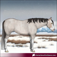 Horse Color:Sable Champagne Roan Dun Splash 