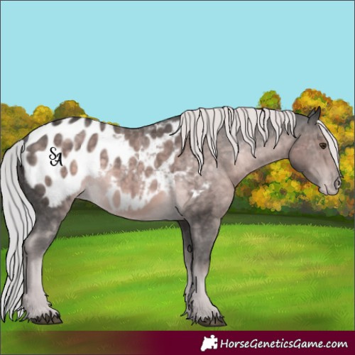 Horse Color:Platinum Chocolate Palomino Blanket 