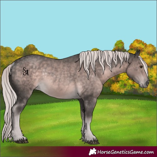 Horse Color:Platinum Chocolate Palomino Rabicano