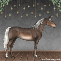 Horse Color:Liver Chestnut Mushroom