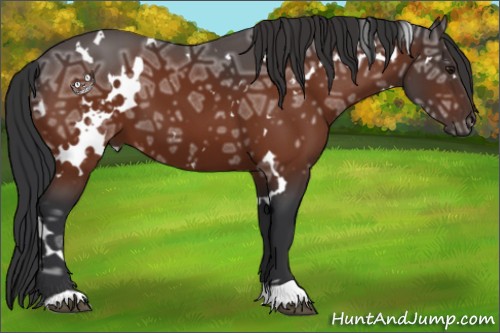 Horse Color:White Spotted Brown Ice 