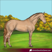 Horse Color:Red Dun 