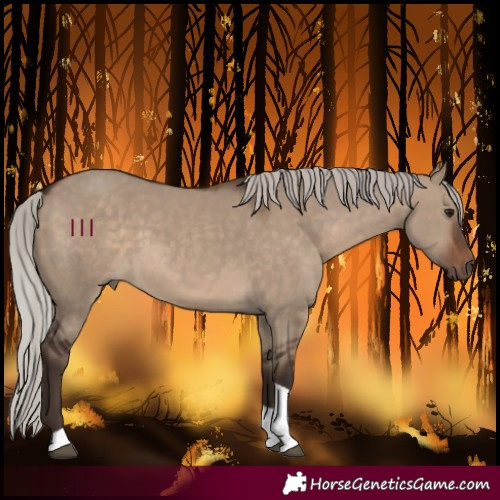 Horse Color:Silver Brown Dun Tobiano 