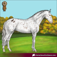 Horse Color:Liver Chestnut Mushroom Snowflake Varnish 