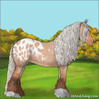 Horse Color:Silver Bay Dun Mushroom Appaloosa Brindle 