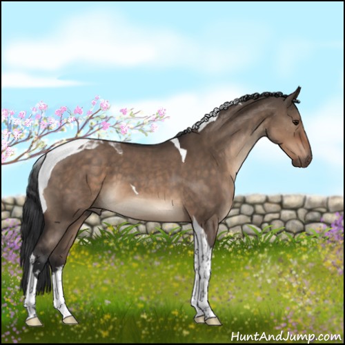 Horse Color:Brown Dun Sabino Tobiano 