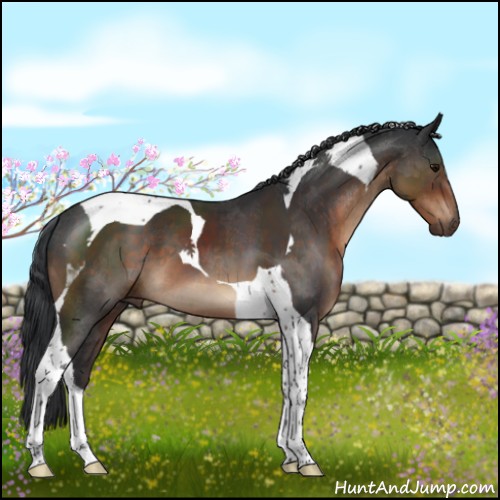 Horse Color:Brown Tobiano 
