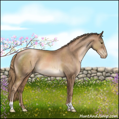 Horse Color:Liver Chestnut Pearl 
