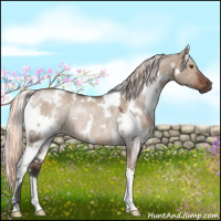 Horse Color:White Spotted Liver Red Dun Mushroom Rabicano