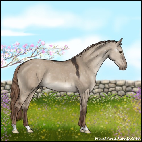 Horse Color:Liver Red Dun Rabicano 