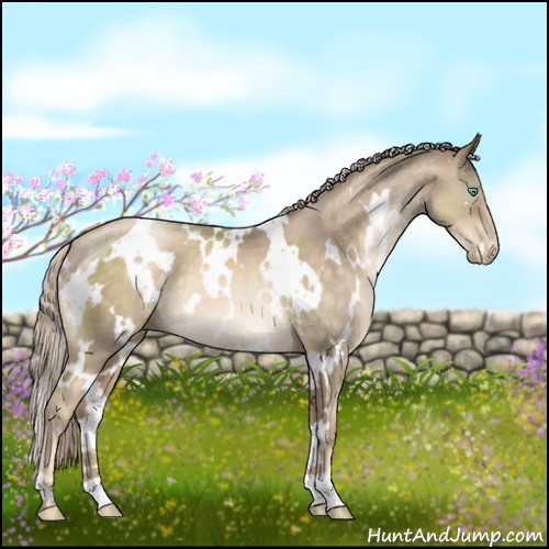 Horse Color:White Spotted Chocolate Palomino Pearl 