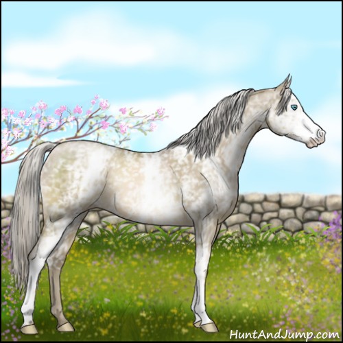 Horse Color:White Spotted Chocolate Palomino Pearl Mushroom 