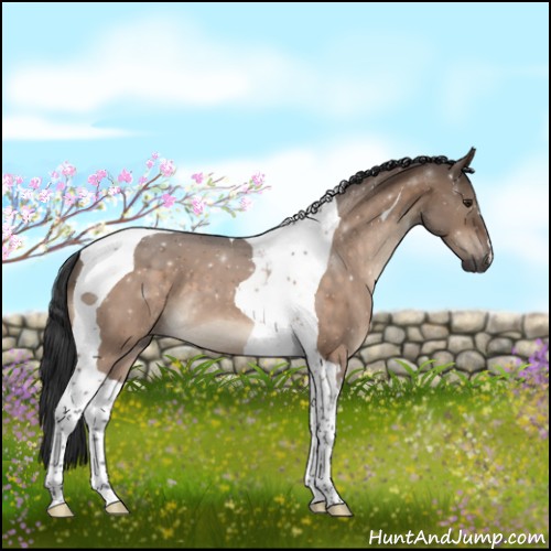 Horse Color:Brown Dun Tobiano 
