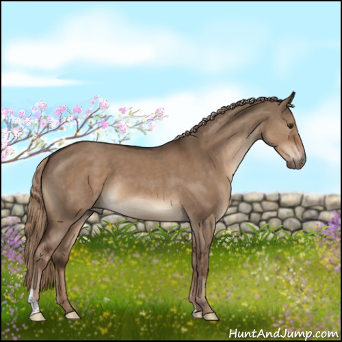 Horse Color:Liver Red Dun 